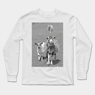 Sheep in Black & White ... Long Sleeve T-Shirt